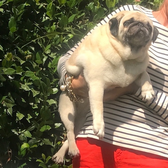 Meet your Posher, Jennifer - Picture 4 of 8